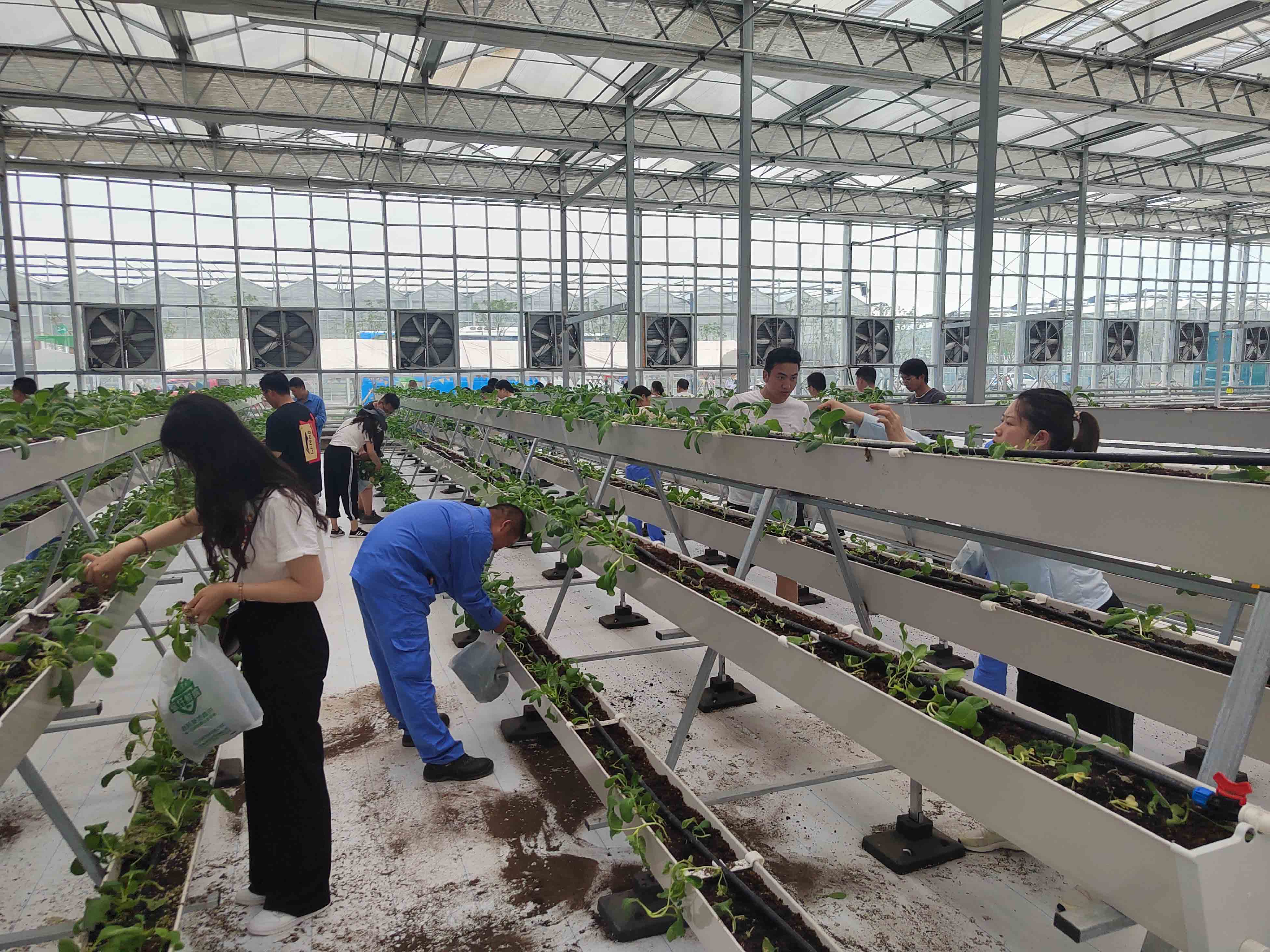 1678687416662468.jpg 50101404-9C6163BFD8E4CC38.jpg